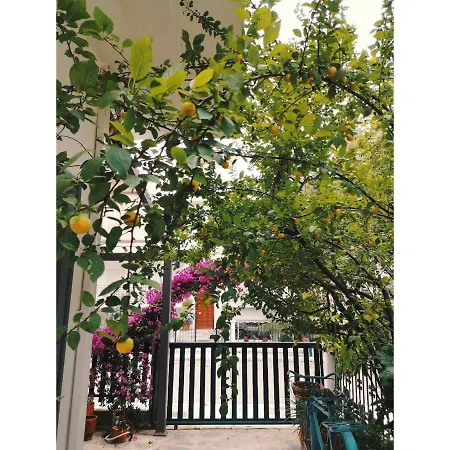 Ritsa Hotel Kamena Vourla