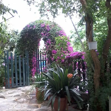 Ritsa Hotel Kamena Vourla